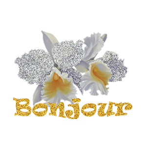 Gif animé bonjour
